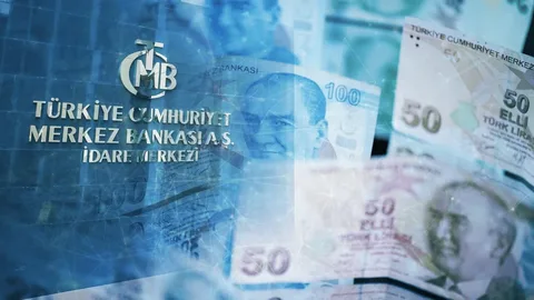 Türk Lirası İçin Yeni Yol Haritası: Merkez Bankası'ndan Düzenleme Paketi