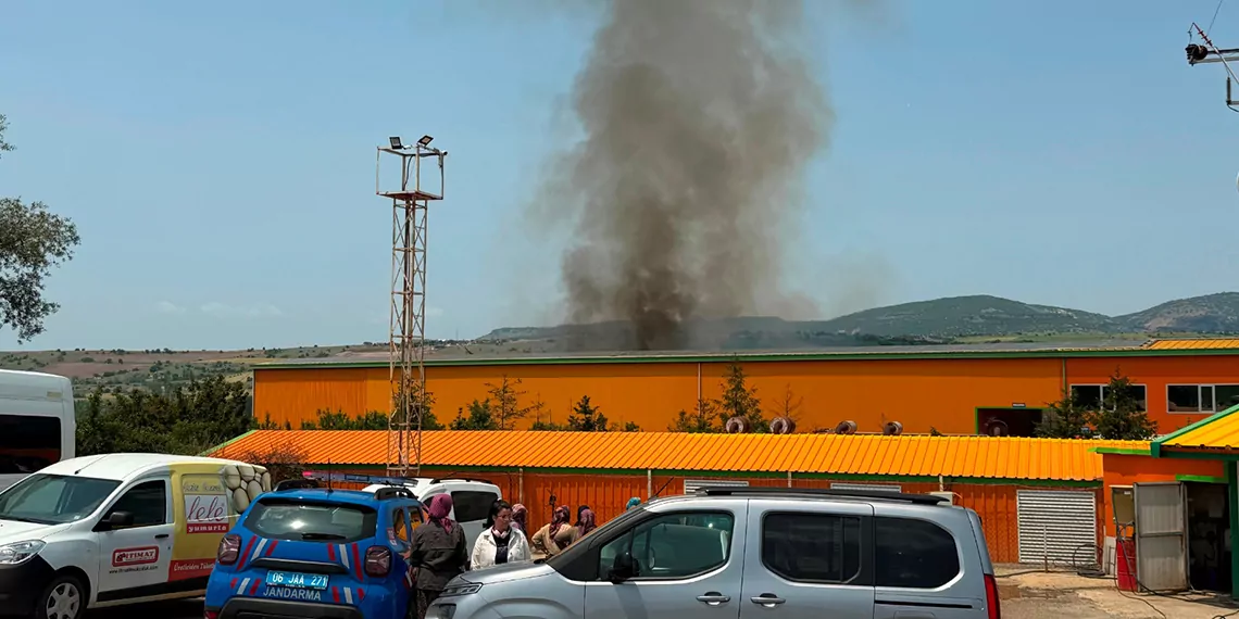Ankara'da yumurta tesisinde yangın; 150 bin tavuk öldü