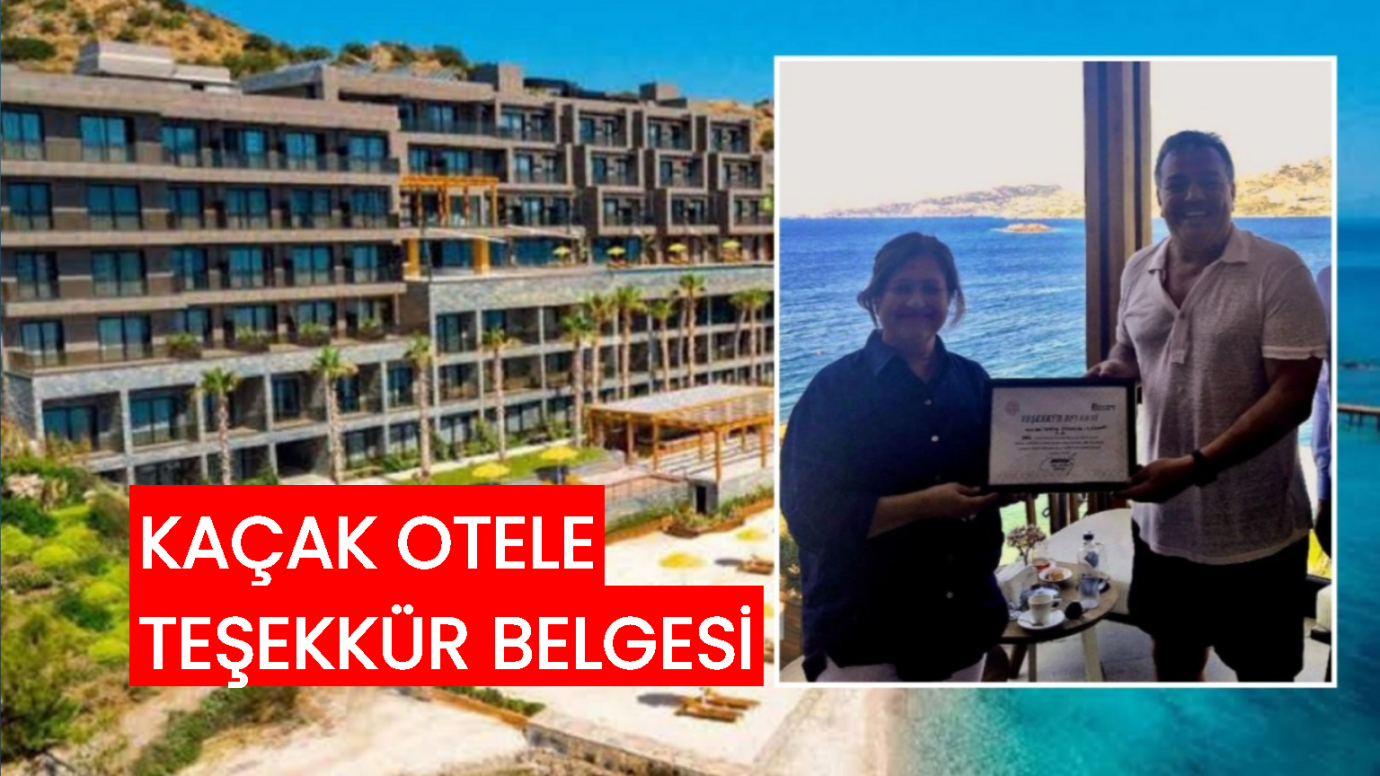 Kaçak Otel, Yasal Teşekkür!