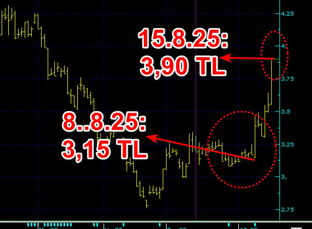 SASA'da yüzde 25 yükselişin nedeni belli oldu