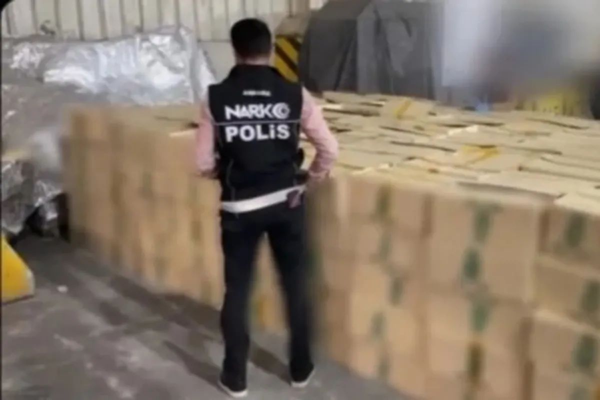 Derince Limanı'nda 1 Ton 508 Kilo Skunk Ele Geçirildi: 5 Şüpheli Gözaltında