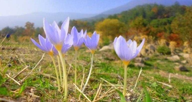 Cemre düştü mü? İlk cemre ne zaman, nereye düşecek?