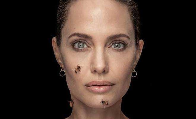 Angelina Jolie dakikalarca arıların içinde kaldı!