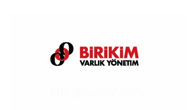 Birikim Varlık Yönetim hissesi 100 liradan bir ayda 35 liraya düştü