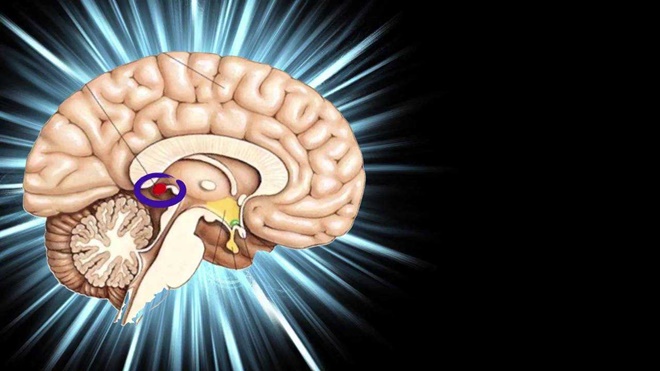 EPİFİZ BEZİ'Nİ KULLANIRSAK NELER YAPABİLECEĞİMİZİ BİLİYORMUSUNUZ?