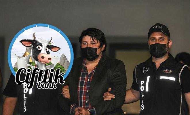 Tosuncuk Mehmet Aydın: Ailemle sorun yaşadığım için teslim oldum