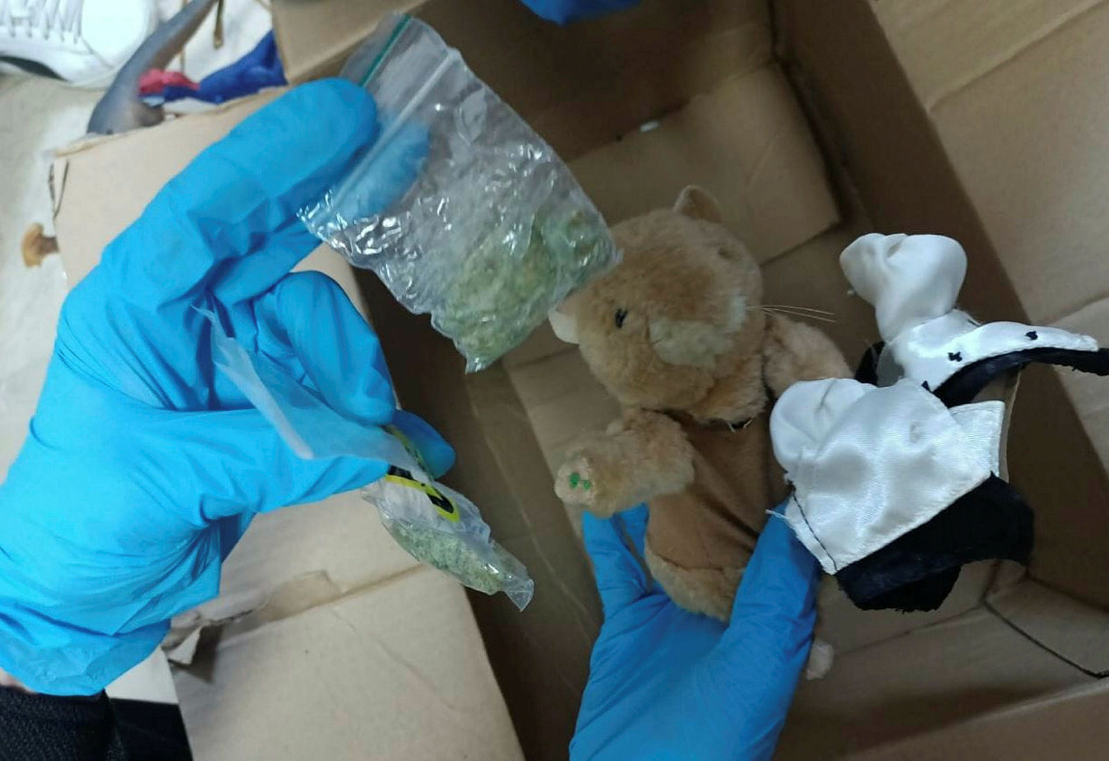 Hollanda’dan Aksaray'a, oyuncak ayı içinde uyuşturucu sevkiyatı!