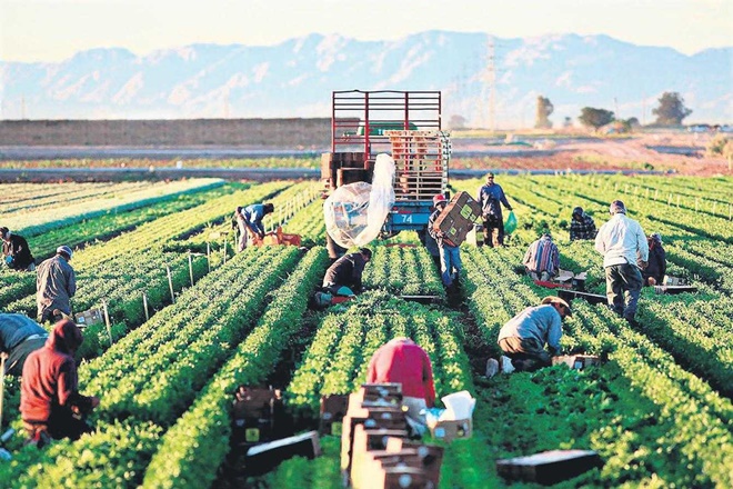 IBF’de gıda ve tarımın geleceği masaya yatırılacak