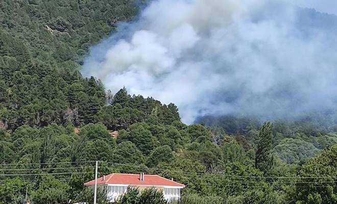 DİKKAT! İzmir için orman yangını uyarısı