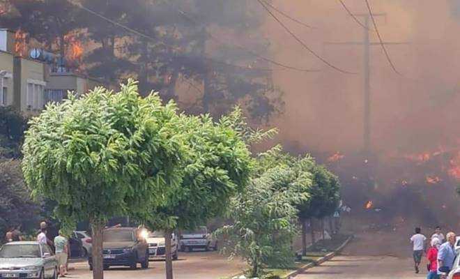 Manavgat yangın felaketini yaşıyor!