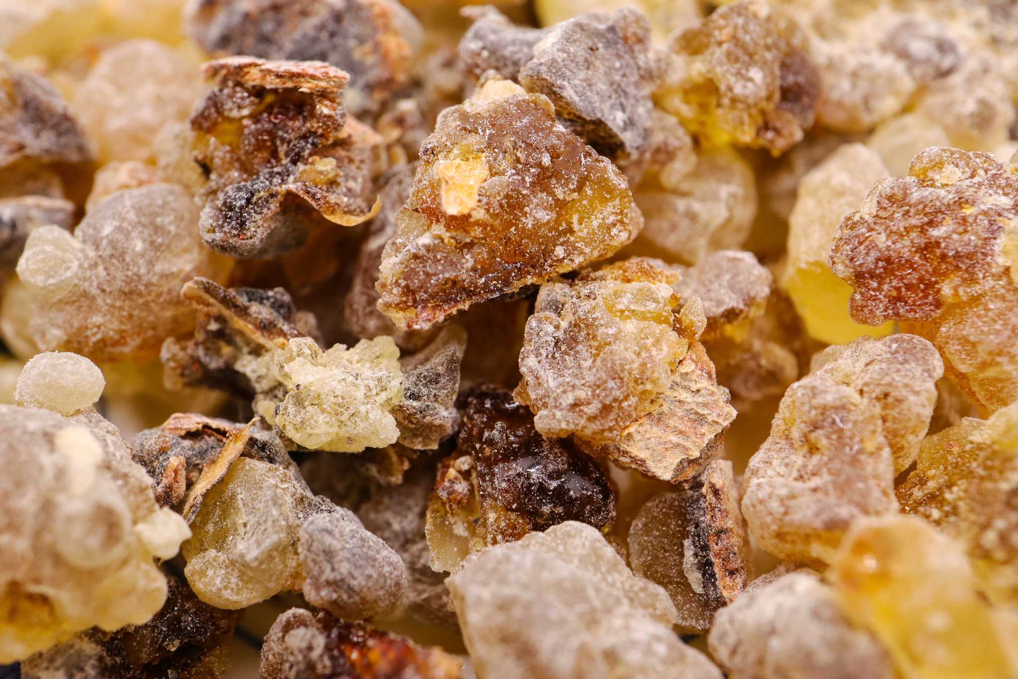 Mezda sakızı nedir?