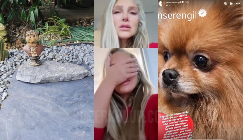 Seren Serengil'in acı günü