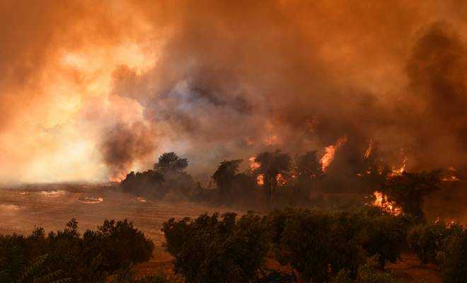 Akdeniz ülkelerinde çıkan yangınlar bölgeyi adeta cehenneme çevirdi