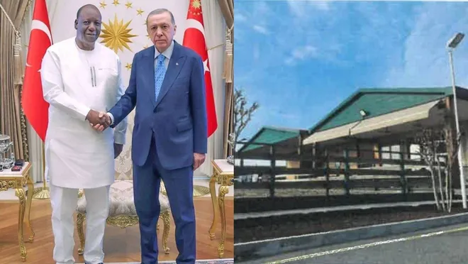 Burkina Faso'dan geldi, Silivri'de kaçak çiftlik kurdu